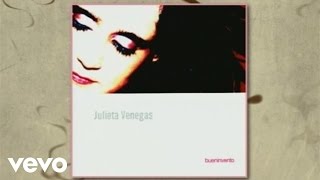 Julieta Venegas  Fe Cover AudioVideo [upl. by Niwri]