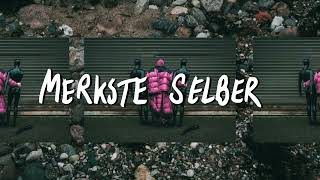 Deichkind  Merkste Selber Official Audio [upl. by Steinway]