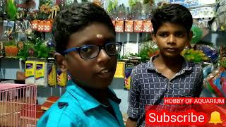 AQUARIUM VLOG IN KARAIKAL [upl. by Lerak963]