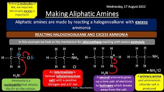 CIE Topic 18 and 19 Carboxylic Acids and Derivatives and Nitrogen Compounds REVISION [upl. by Bolt]