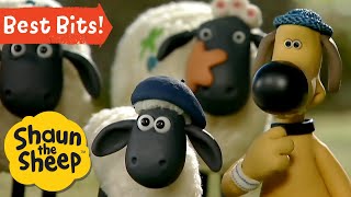 Ultimate Laughter Shaun the Sheep 🌽 Season 1 Best Bits [upl. by Naitirb]