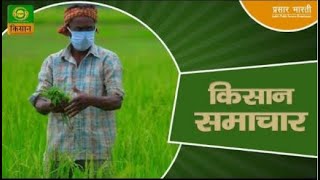 Watch latest news coverage on DD Kisans daily news bulletin Kisan Samachar  December 12 2024 [upl. by Georgeta]