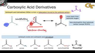 0605 Carboxylic Acid Derivatives [upl. by Agnimod515]