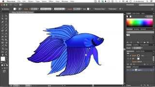 Adobe Illustrator CC Tutorial  Creating Multiple Views [upl. by Niltiak]