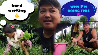 working at home and plantation 💪Nepal rura village 🧬 Aashan lamaNepal lifestyle vlog🇳🇵💯 [upl. by Eryt669]