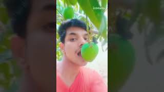 aam ke swad  slowed amp reverb  aam lela aam lela  new bhojpuri status2024 [upl. by Philip409]