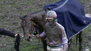 Maienfeld  13102024  PFERDERENNEN IN MAIENFELD BAD RAGAZ Highlights of the day [upl. by Neerroc]