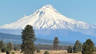 2024 Deschutes River Spring Salmon Fishing [upl. by Ambie]