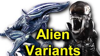 Tales of the Aliens  Alien Explained Compilation [upl. by Perusse]