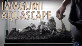 🌱 Setting up Nature Aquarium Aquascape  Planted Tank Iwagumi [upl. by Isteb636]