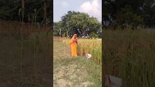 Anita Rajendrashorts shortsvideo shortsfeed youtubeshorts [upl. by Xxam625]