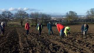 What is Archaeological Field Walking [upl. by Mattson210]