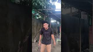 Kabutar ud raha hai funny 🤣🤣 comedy funny fun entertainment comedyfilms [upl. by Kiernan]