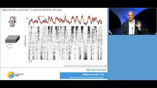 Carandini talk at SfN 2022 quotOrganization of neural activity across the brainquot [upl. by Marie]