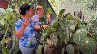 Vivero de Orquídeas bromelias y Plantas Exóticas [upl. by Zsuedat]