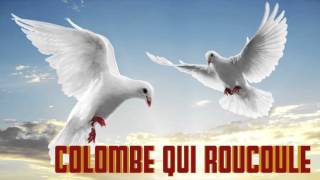 Colombe qui Roucoule le Cri de la colombe chant chante [upl. by Till]