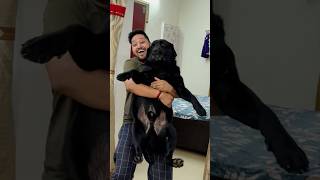 My Dog Hates Bath trending lucky doglover [upl. by Ailemaj251]