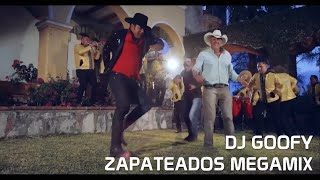 DJ GOOFY  HUAPANGOS SONES ZAPATEADOS MEGAMIX [upl. by Centeno]