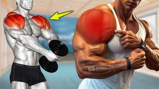 6 Fastest Effective Shoulder Exercises [upl. by Retnyw]