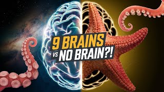 Animal Brain Facts That Will Blow Your Mind [upl. by Leopold]