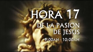 17 de 24 I Horas de la Pasión de Jesús Luisa Piccarreta Divina Voluntad [upl. by Maxine]