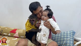 Monkey YoYo Jr is happy when dad takes care of him [upl. by Euk]