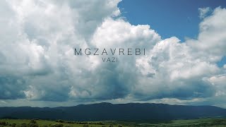 MGZAVREBI — Vazi Official Music Video [upl. by Eilema644]