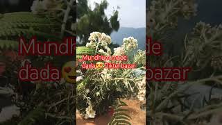 Mundhum mude dada diktel bazar👌❤️minivlog subscribemychannel love [upl. by Shrier]