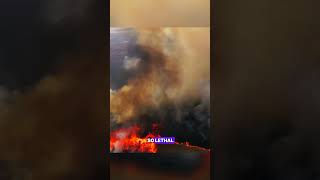 Have you Ever wondered what happens when fire retardant is dropped from planes during wildfires [upl. by Maxfield707]