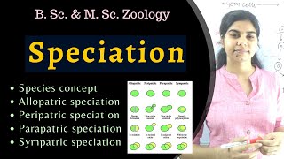 Speciation  types  Evolution  B Sc amp M Sc Zoology [upl. by Vigor914]