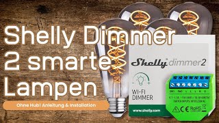 Shelly Dimmer 2 Anschluß amp Alexa [upl. by Trebma]