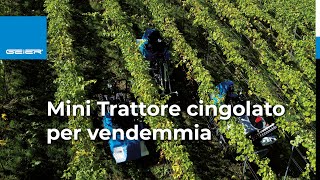 Mini trattore cingolato per raccolta uva e vendemmia  Geier cingolati [upl. by Ettenrahc]