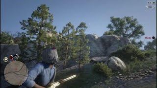 Red Dead Redemption calling a cheater 😂 [upl. by Laeynad382]