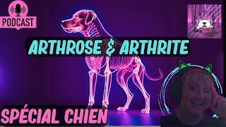 ARTHROSE et ARTHRITE chez le CHIEN  Symptômes Traitements et Conseils Pratiques [upl. by Dann]