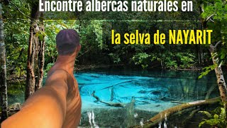 Encontré ALBERCAS naturales en la selva de NAYARIT a 1hr de Sayulita🔥🌴 Explico cómo llegar [upl. by Sorvats419]