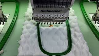 Richpeace embroidery machine video3 10201577 [upl. by Acsirp]