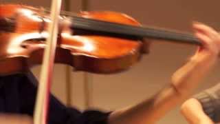 Kodaly Intermezzo for string trio  trio oreade Zurich [upl. by Sidras94]