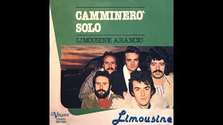 LIMOUSINE  Camminerò solo 1978 HQ Audio [upl. by Shulamith]