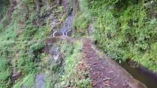 Madeira Levada Walks quot Levada do Castelejoquot [upl. by Loggia841]