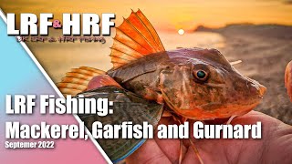 LRF Fishing Summer Lure Fishing for Mackerel and Gurnard [upl. by Einad]