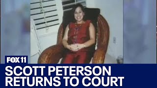 Scott Peterson returns to court [upl. by Brunhilda]