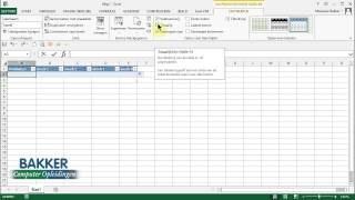 Excel gegevens invoeren [upl. by Nythsa]