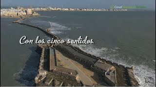 Con los cinco sentidos Cádiz [upl. by Atelahs]