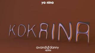 YA NINA  KOKAINA Avandi amp Danny Remix Afro House [upl. by Gnah892]