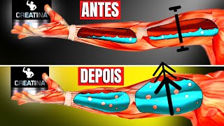 Seu corpo SEM Creatina vs COM Creatina Efeitos de Tomar Creatina  Suplemento  CORPO HIPERTROFIADO [upl. by Forland470]