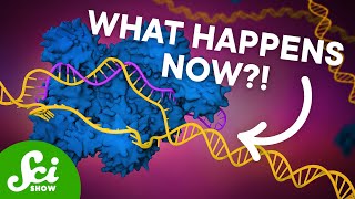 The First CRISPR Gene Therapy Is Here [upl. by Cullan]