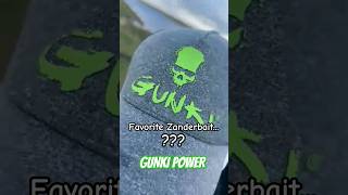 GUNKI POWER gunki illex catchandrelease zander GUNKITV [upl. by Anaert]