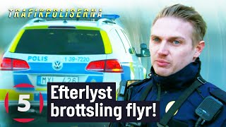 Polisen jagar efterlyst brottsling som sätter plattan i mattan  Trafikpoliserna  Kanal 5 Sverige [upl. by Wasson687]