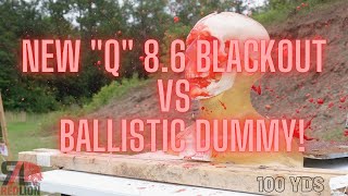 86 Blackout VS Human Head  100yds [upl. by Adnawat]