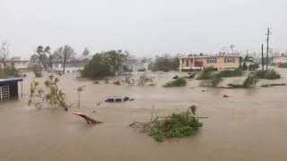 INUNDACIONES EN TOA VILLE [upl. by Joyce]